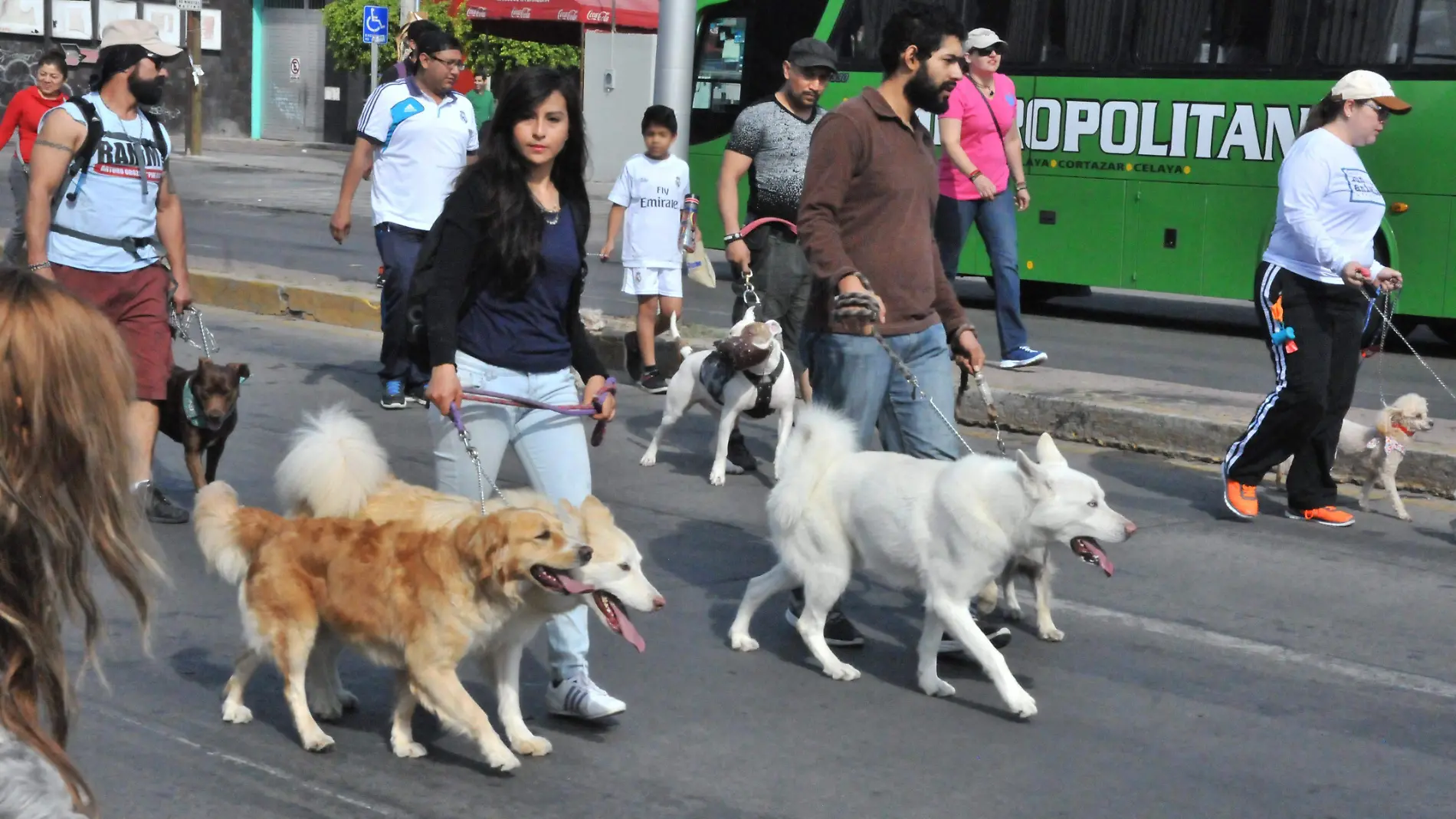 CAMINATA  CANINA (11) ok